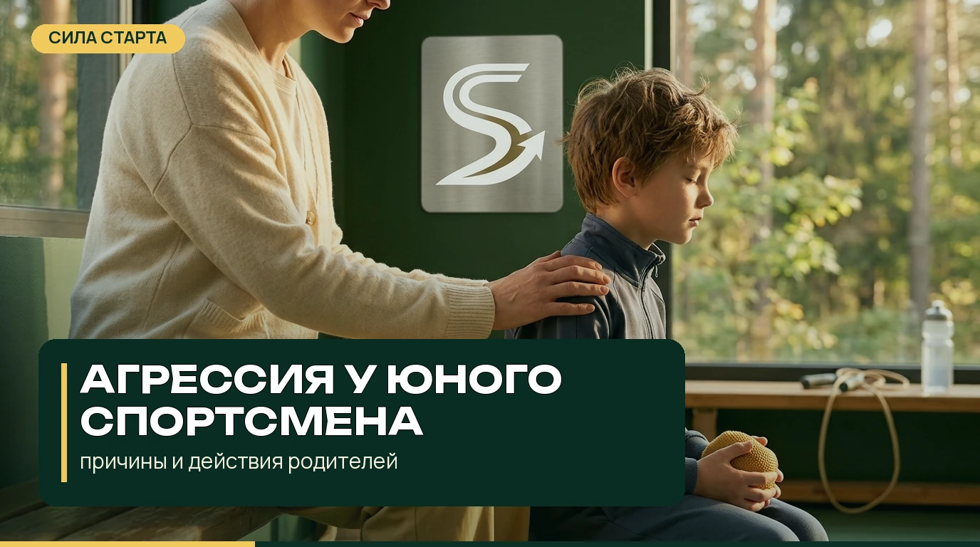 Агрессия у юного спортсмена: причины и действия родителей Агрессия у юного спортсмена: причины и действия родителей